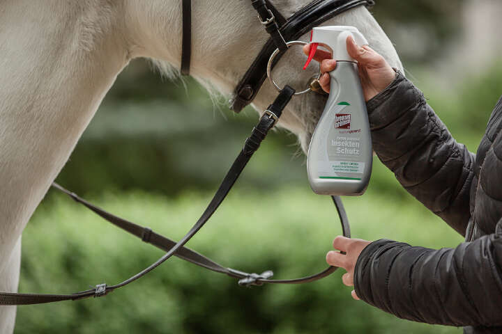 BREMSENBREMSE horseguard Insektenschutz